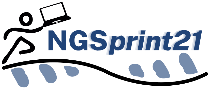 NGSprint