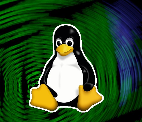 NGSeminars 2020: Introduction to Linux & command line (18.06.2020)